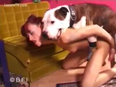 Skinny coed with natural diminutive wobblers taking a dog schlong from being in this animal sex clip